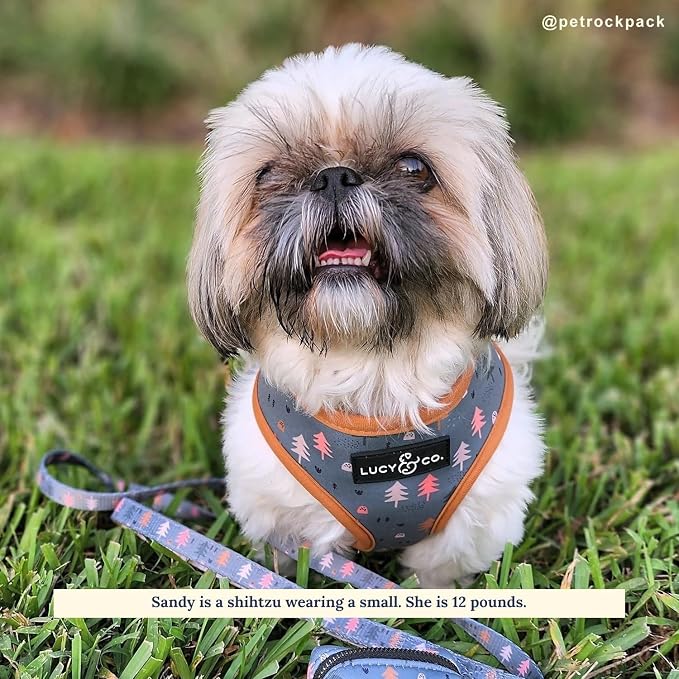 Lucy & Co. Take a Hike Reversible Dog Harness - Image 3