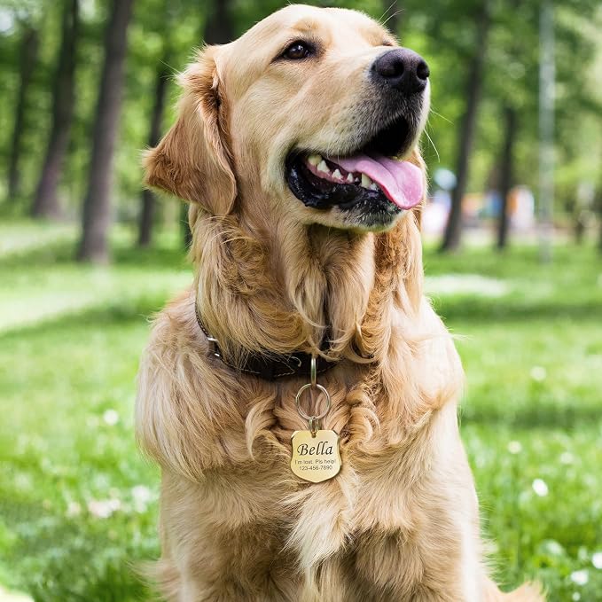 Anavia Personalized Pet ID Tags, Stainless Steel Glossy Laser Engraved Dog Cat - Image 7