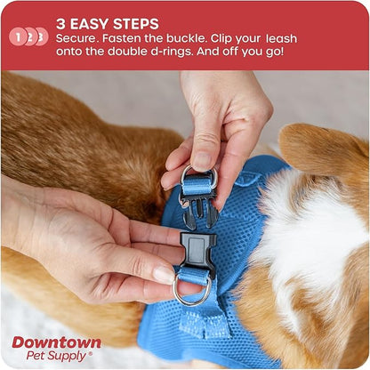 Downtown Pet Supply Step-in Dog Harness – No Pull, Adjustable Padded Mesh - Image 5