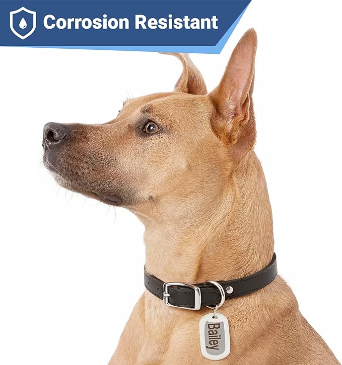 GoTags Stainless Steel Pet ID Tags, Personalized Dog Tags and Cat Tags - Image 4