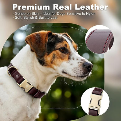 Plutus Pet Genuine Leather Dog Collar – Adjustable Pet Collar - Image 3