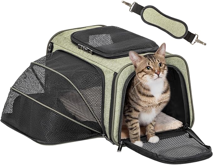Petsfit Expandable Rabbit Carrier Small Cat Carrier Airline Approved by Petsfit