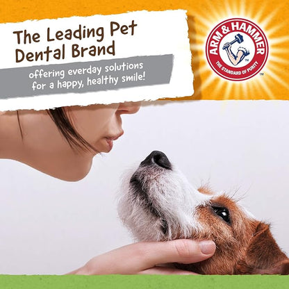 Arm & Hammer for Pets Nubbies Dental Toys T-Rex Dental Chew Toy for Dogs Best - Image 6
