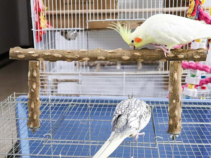 Large Natural Pepper Wood Parrot Stand Branch, Wooden Perch - Image 2