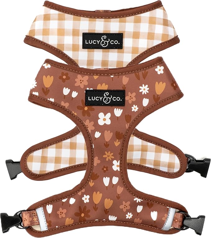 Lucy & Co. Cute Reversible Dog Harness Walking Halter by LucyCo