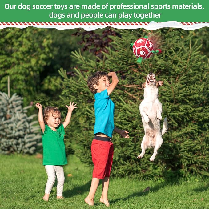 QDAN Small Christmas Dog Toys, Soccer Ball - Image 7