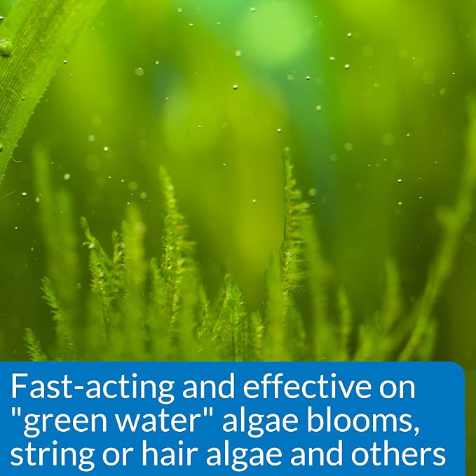 API ALGAEFIX Algae Control 16-Ounce Bottle - Image 3