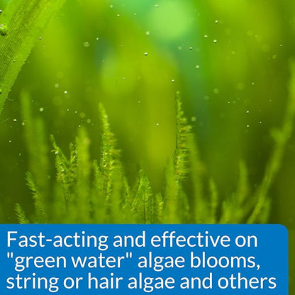 API ALGAEFIX 8-Ounce Bottle - Image 3