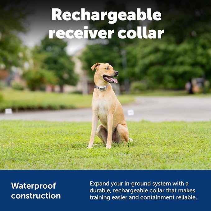 PetSafe Classic In-Ground Fence Rechargeable Receiver Collar for Dogs and Cats - Image 6