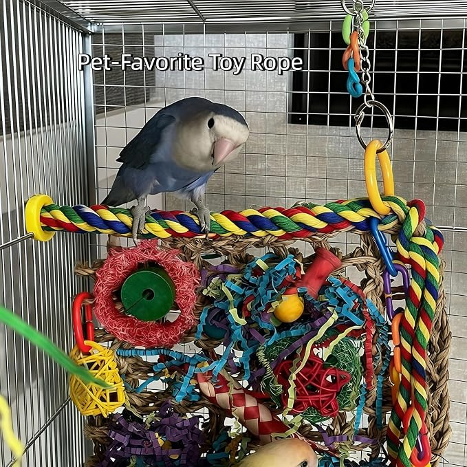 Bird Rope Perches, Parrot Toys, Bungee Rope Perches - Image 9