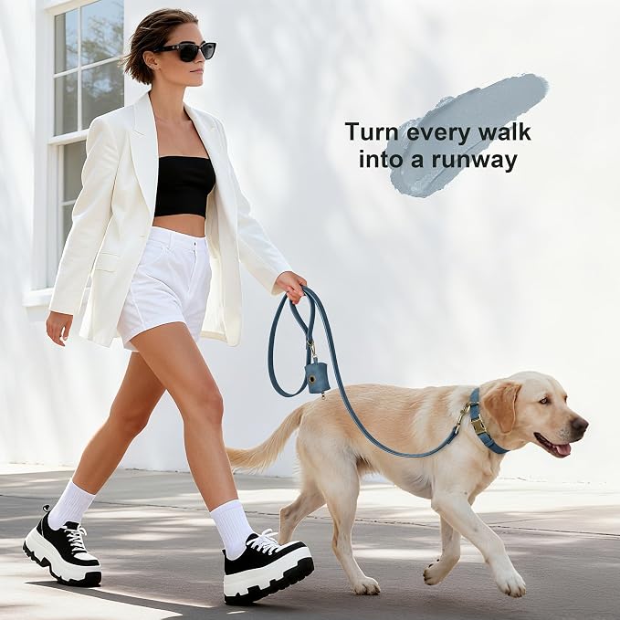 Didog Soft PU Leather Dog Collar, Stylish Quick Released Dog Collar - Image 4