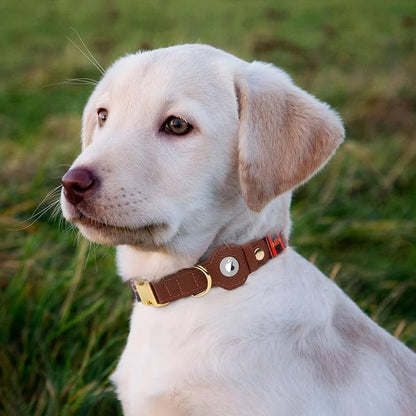 AirTag Dog Collar for Small Medium Large Breed - Image 7