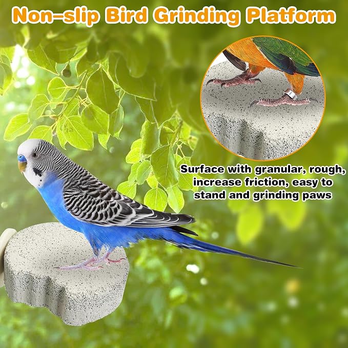 PINVNBY 4 PCS Bird Perches Calcium Parrot Perch Stand Bird Beak Grinding Stone - Image 4