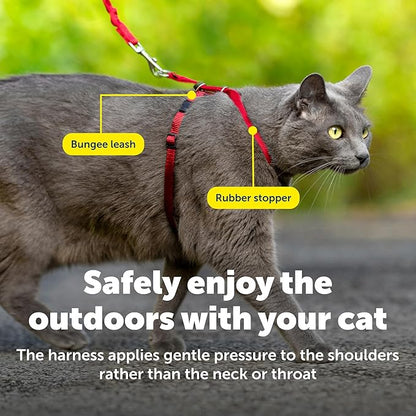 PetSafe Come With Me Kitty Cat Harness & Bungee Leash - Image 7