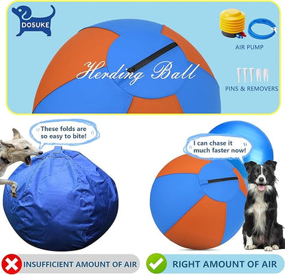 Herding Ball for Dogs and Horses - Image 5