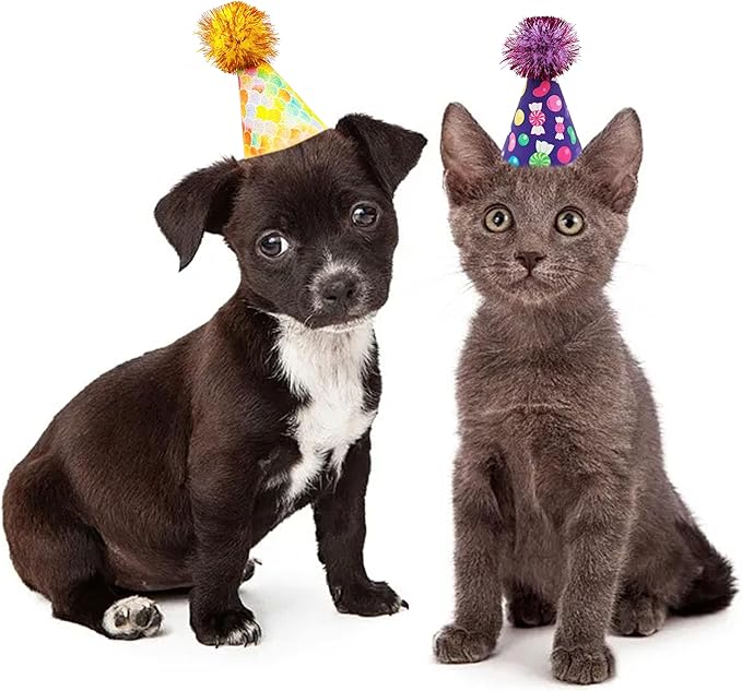6pcs/Pack Mini Dog Party Hats for Small XS Cat Puppy Doggie Kitten Rabbit - Image 5