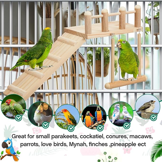 10 Pcs Parrot Swing Toys and Bird Perches Platform - Image 4