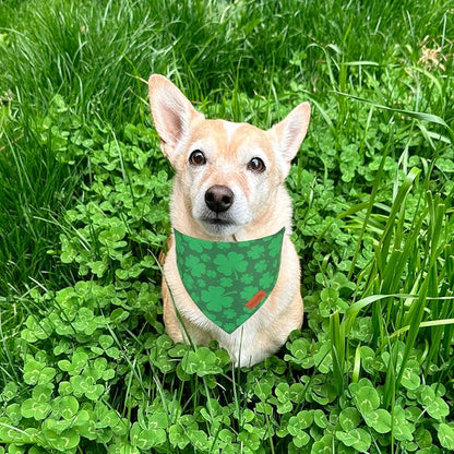PTDECOR St. Patrick's Day Dog Bandana, Reversible Dog Scarf - Image 2