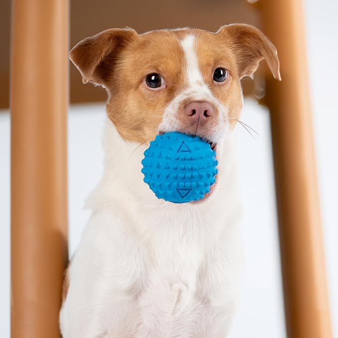 Best Pet Supplies Interactive Squeaky Dog Chew Toy, Ideal Dog Toys - Image 6