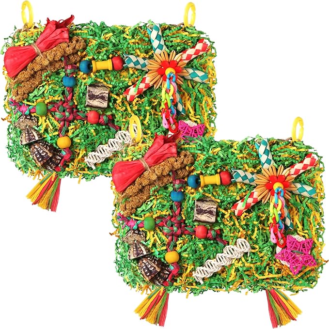 Bird Toys Parakeet Toys, Large-Sized Parrot Foraging & Shredding Cage Hanging by YIXUND