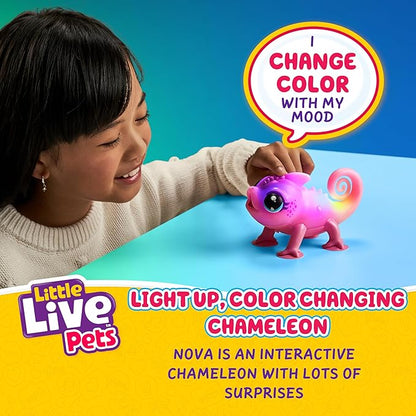 Little Live Pets Nova The Li’l Chameleon Toy, Interactive Light Up Toy Pet - Image 2
