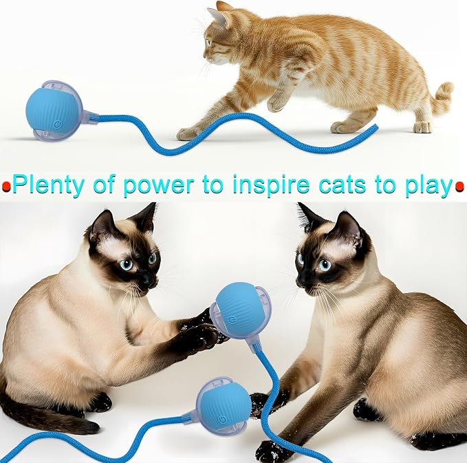 Interactive Cat Dog Toy Ball: Indoor Small Automatic Moving Smart Rolling Fun - Image 7