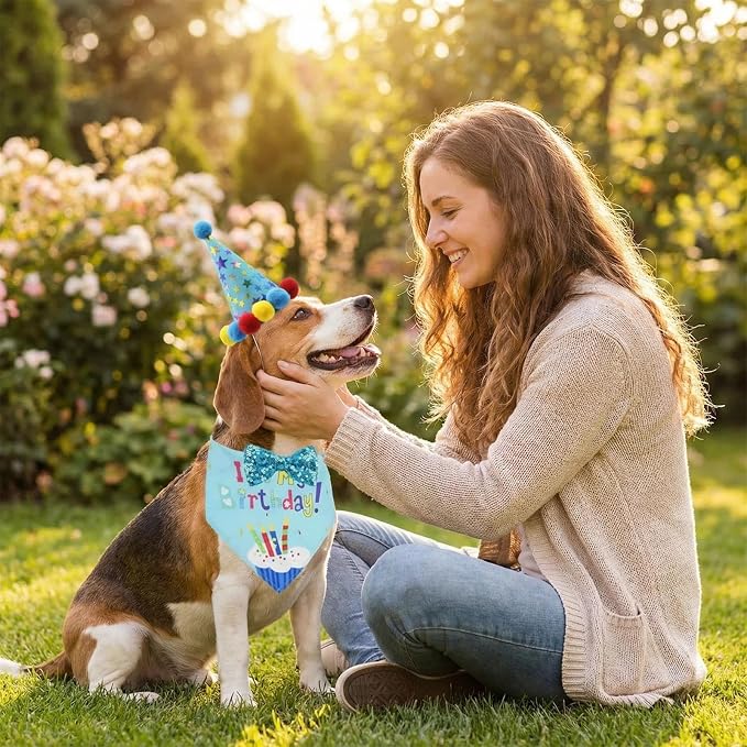 Pet Birthday Party Set with Hat and Bandana - Image 4