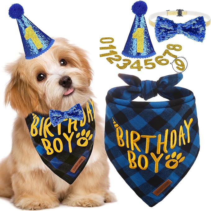 EXPAWLORER Dog Birthday Party Supplies by EXPAWLORER