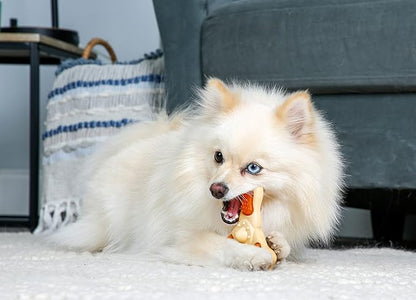 Chew ‘n Clean Chew Toy and Treat in One Chicken Flavored Tri-Point Dog Toy - Image 4