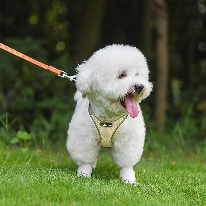 AIITLE Escape Proof Dog Harness - Image 8