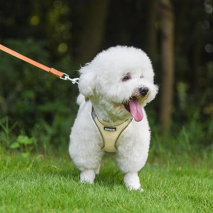AIITLE Escape Proof Dog Harness - Image 8