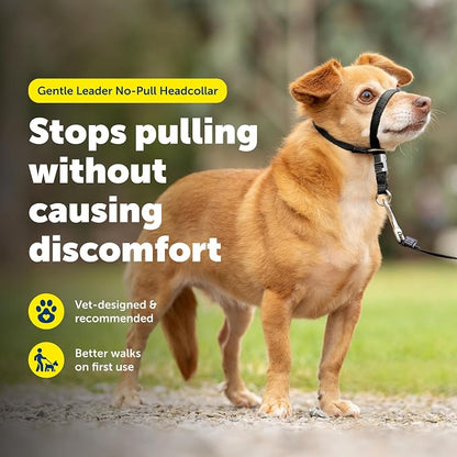 PetSafe Gentle Leader Headcollar No-Pull Dog Collar - Image 2