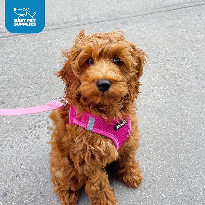 Best Pet Supplies Voyager Step-in Air Harness - Image 9