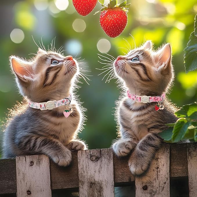 2 Pack Strawberry Cat Collars - Image 2