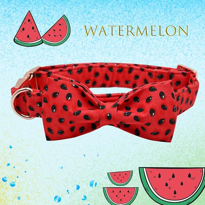 Lionheart glory Dog Collar, Watermelon Dog Collar - Image 3