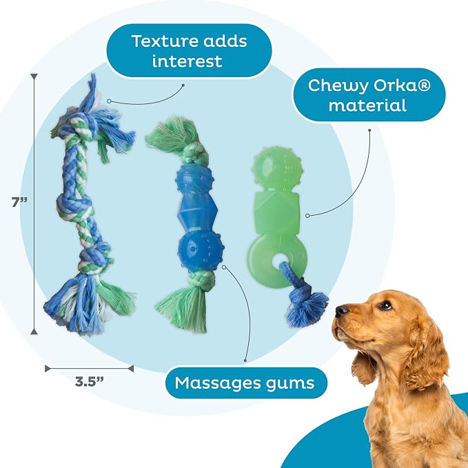 Outward Hound Pupstages Mini Dentachew Pack Dental Chew Toy, Fetch & Tug Rope - Image 4