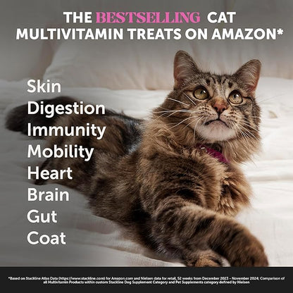 Cat Multivitamin Chews - Image 2