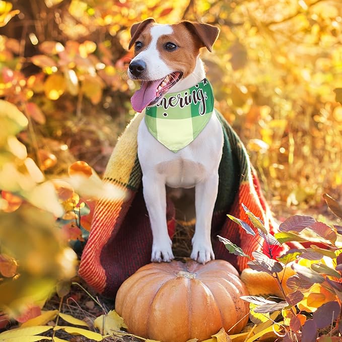 Sweetude 100 Pcs Fall Dog Bandanas Bulk Plaid Bandanas - Image 7
