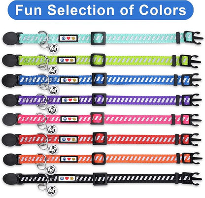 Pawtitas Personalized Cat Collar - Image 7