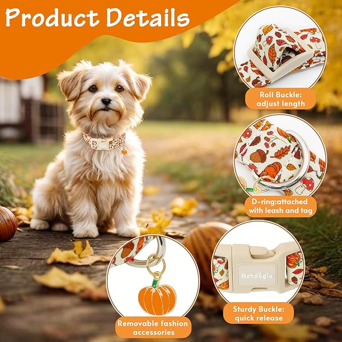 Fall Dog Collar – Halloween & Thanksgiving Dog Collars - Image 4