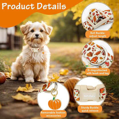 Fall Dog Collar – Halloween & Thanksgiving Dog Collars - Image 4