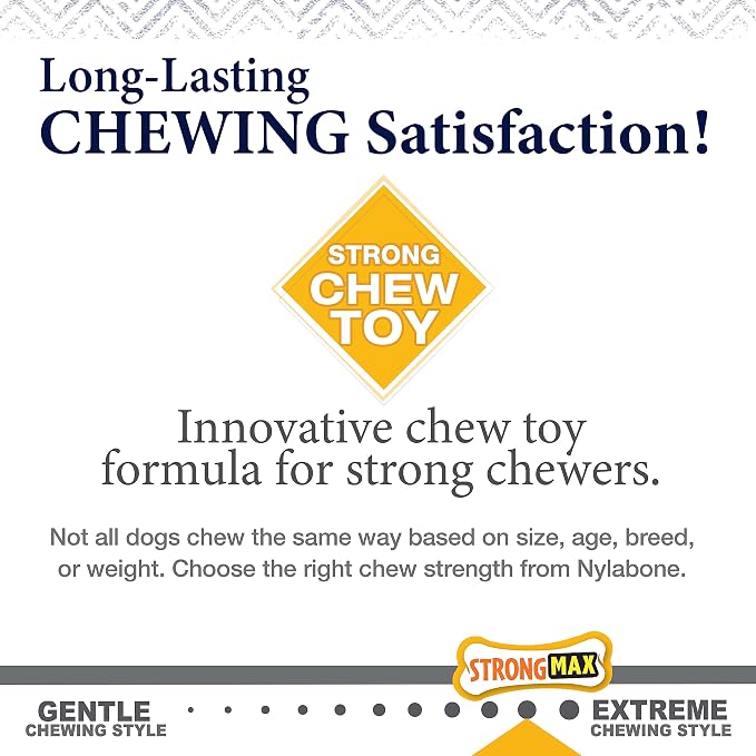 Nylabone Gourmet Style Wishbone Strong Chew Toy - Image 8