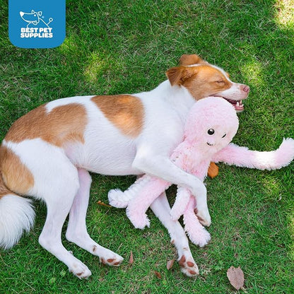 Best Pet Supplies Interactive Squeaky Dog Chew Toy, Ideal Dog Toys - Image 5