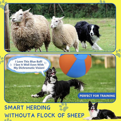 Herding Ball for Dogs and Horses - Image 3