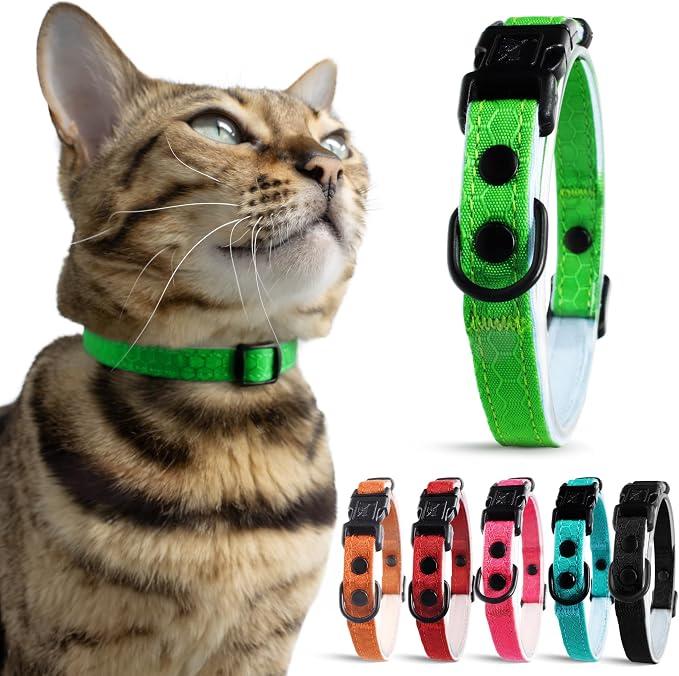 OutdoorBengal Green Cat Collar Breakaway, Soft Padding by OutdoorBengal