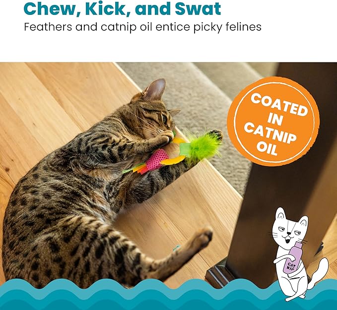 Catstages Dental Pineapple Teether – Chew Toy - Image 4