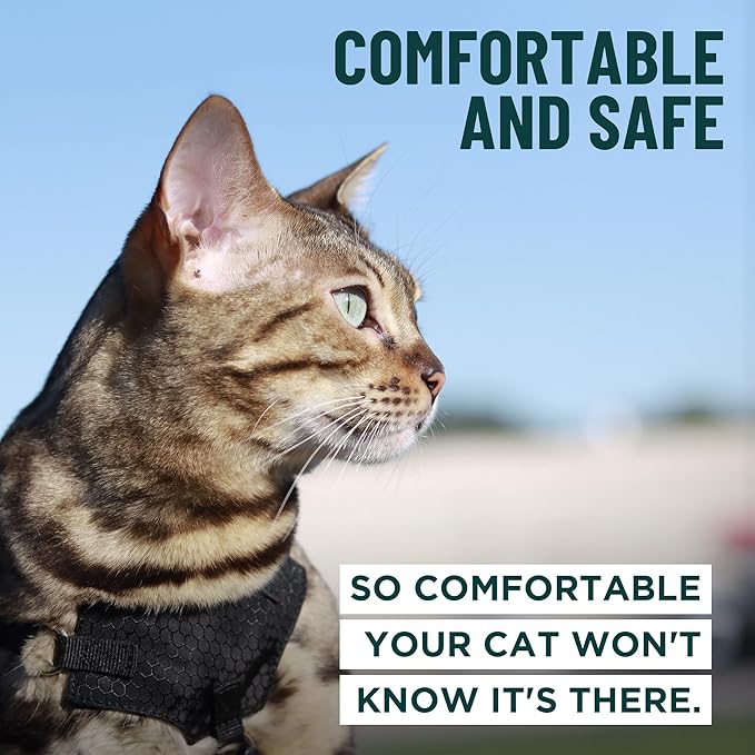 Houdini™ Escape Proof Cat Harness and Leash Set by OutdoorBengal – Black - Image 4