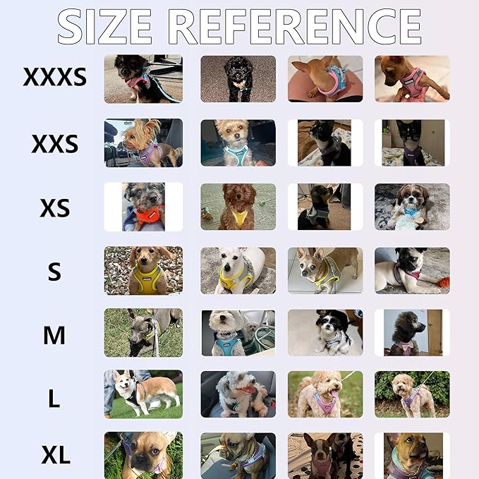 AIITLE Easy Walk Dog Harness and Leash Set - Image 9