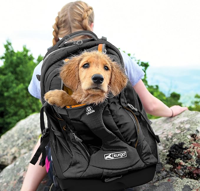Kurgo G-Train Dog Carrier Backpack - Image 7