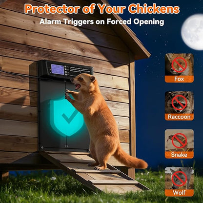 Automatic Chicken Coop Door Large Size, 7W Solar Powered - Image 4